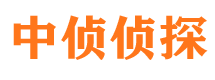 铁锋市私家侦探